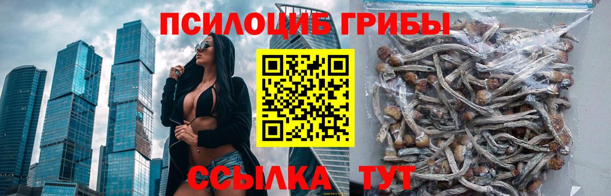 Галлюциногенные грибы Cubensis  Вход с VPN  продажа наркотиков  Нижнекамск 